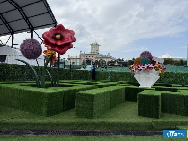 15萬枝毛絨花藝術裝置登陸中環！免費入場即拎走限定毛絨花1朵