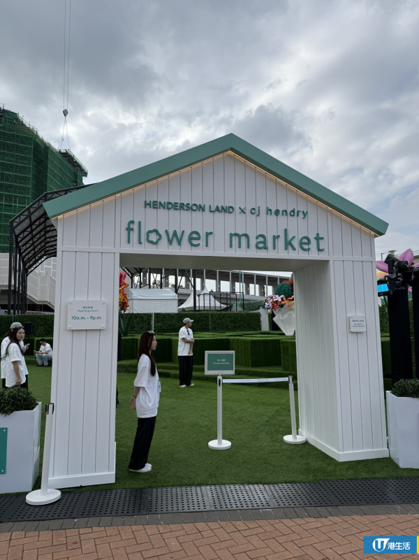 15萬枝毛絨花藝術裝置登陸中環！免費入場即拎走限定毛絨花1朵