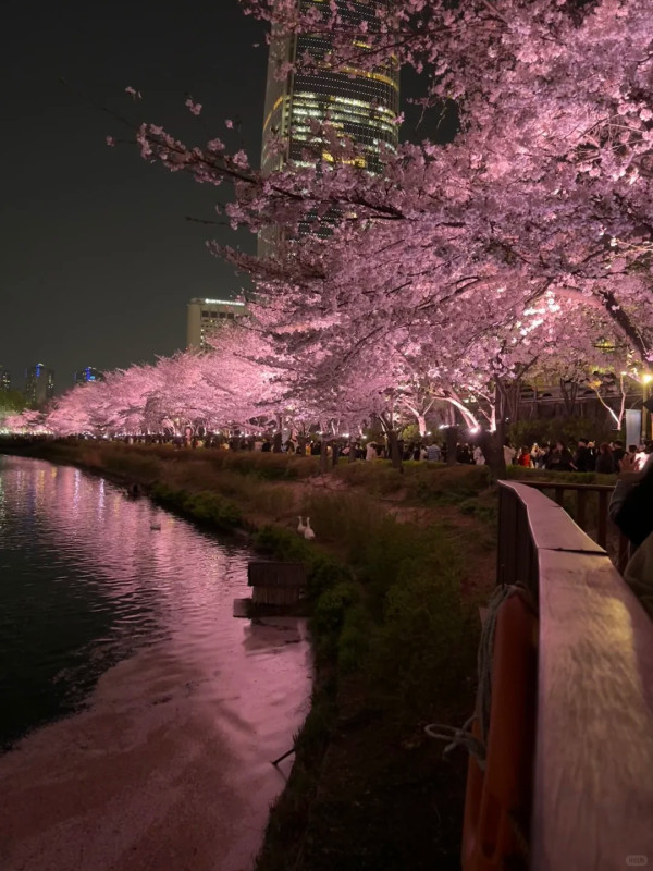 照片來源：小紅書@Soda苏打不加糖