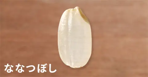 日本米攻略｜香港華御結日本米平過當地買？網民解構3大原因 附10大米種揀米及炊煮貼士 