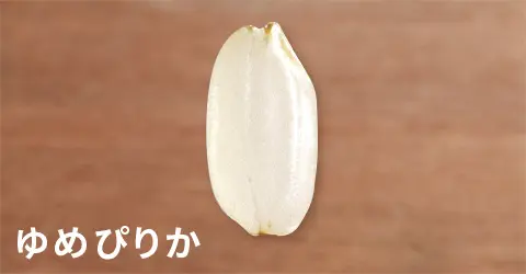 日本米攻略｜香港華御結日本米平過當地買？網民解構3大原因 附10大米種揀米及炊煮貼士 