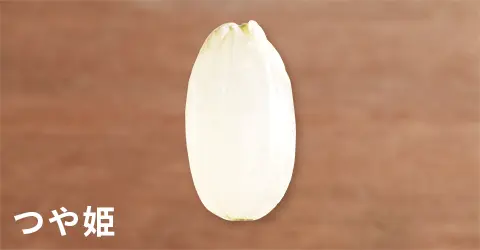 日本米攻略｜香港華御結日本米平過當地買？網民解構3大原因 附10大米種揀米及炊煮貼士 