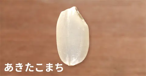 日本米攻略｜香港華御結日本米平過當地買？網民解構3大原因 附10大米種揀米及炊煮貼士 