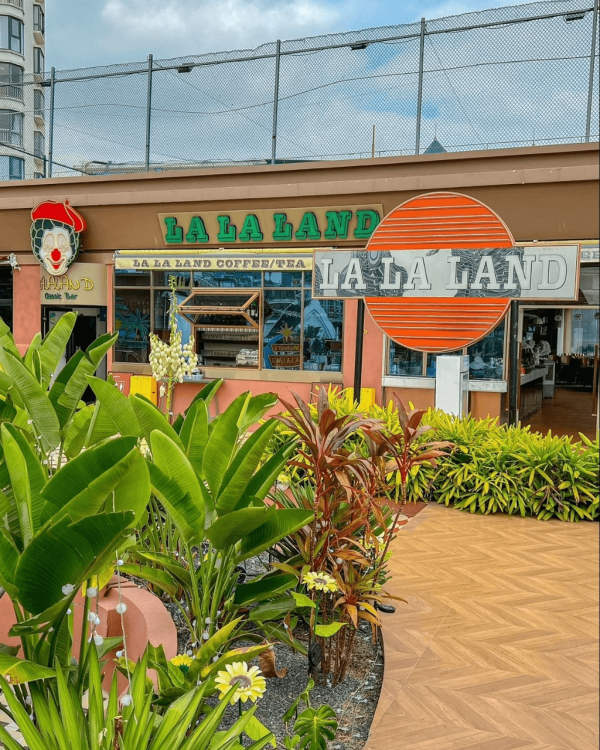 【打卡好去處2026】深圳必去8大絕美打卡Cafe 南法莊園/櫻花/懸崖海景主題 