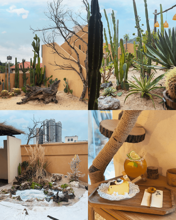 【打卡好去處2026】深圳必去8大絕美打卡Cafe 南法莊園/櫻花/懸崖海景主題 