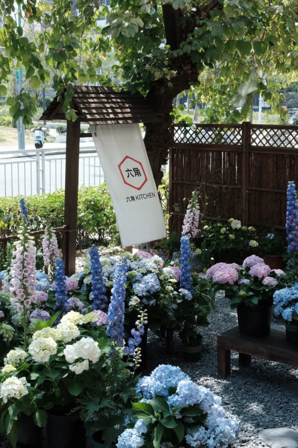 【打卡好去處2026】深圳必去8大絕美打卡Cafe 南法莊園/櫻花/懸崖海景主題 