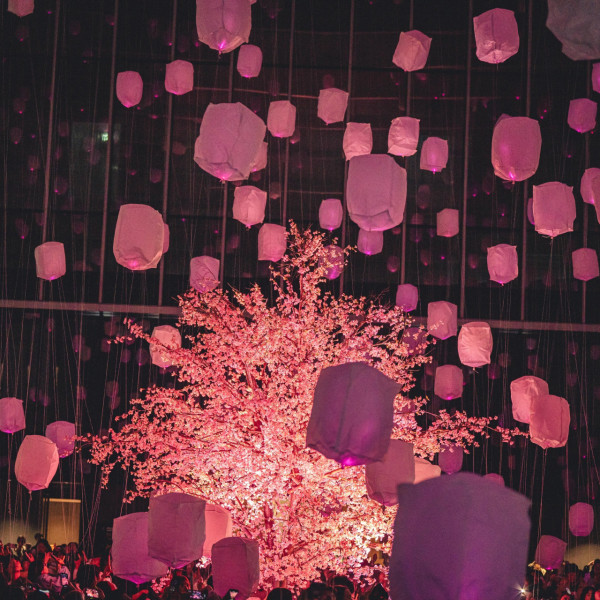 東京花見燈夜2026｜超夢幻1,500盞櫻粉天燈升空、4小時暢飲派對 附門票/行程攻略 