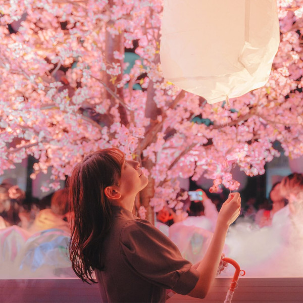 東京花見燈夜2026｜超夢幻1,500盞櫻粉天燈升空、4小時暢飲派對 附門票/行程攻略 