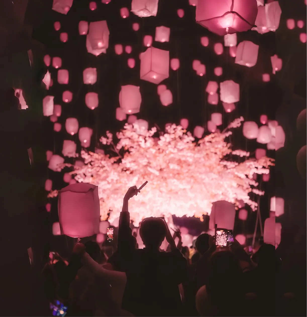 東京花見燈夜2026｜超夢幻1,500盞櫻粉天燈升空、4小時暢飲派對 附門票/行程攻略 