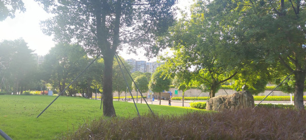 照片來源：小紅書@人间有味是清欢