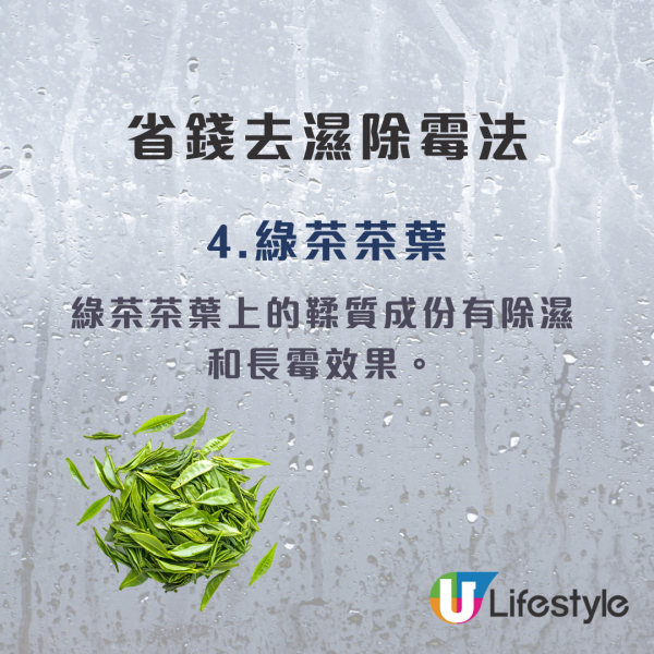 回南天抽濕｜浴室寶4招秒變乾衣神器！電器舖：擺呢個位最有效！附消委會7款高分機推介