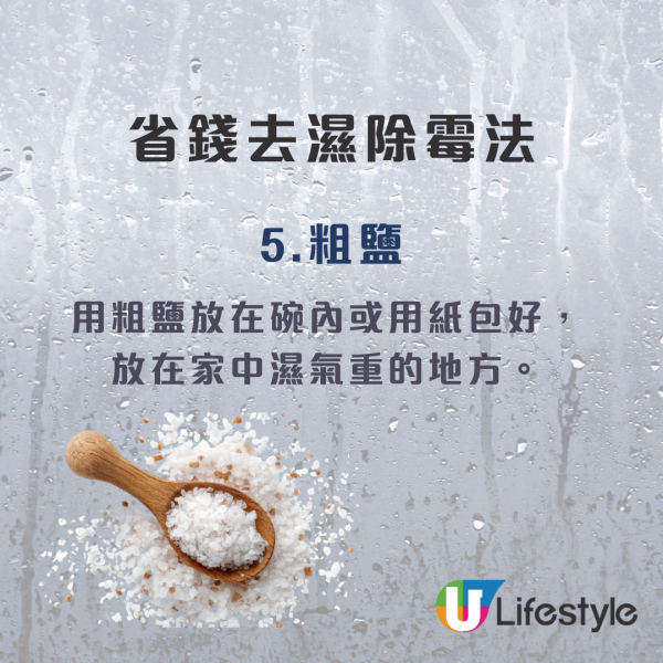 回南天抽濕｜浴室寶4招秒變乾衣神器！電器舖：擺呢個位最有效！附消委會7款高分機推介