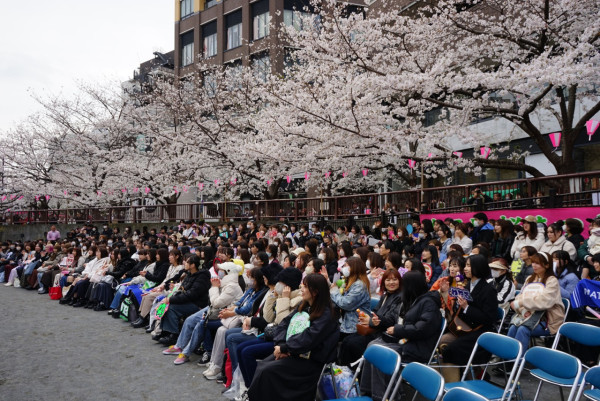 中目黑櫻花節(圖片來源:nakamegu.com) 東京櫻花祭2026|東京賞櫻勝地8大推介!日本橋櫻花限定甜點、小金井1400棵櫻花盛放