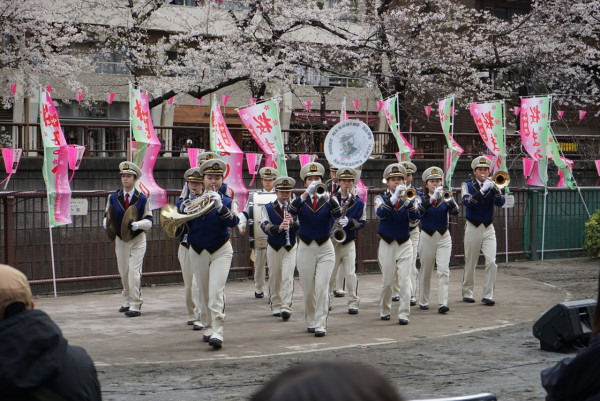 中目黑櫻花節(圖片來源:nakamegu.com) 東京櫻花祭2026|東京賞櫻勝地8大推介!日本橋櫻花限定甜點、小金井1400棵櫻花盛放