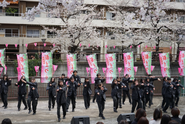 中目黑櫻花節(圖片來源:nakamegu.com) 東京櫻花祭2026|東京賞櫻勝地8大推介!日本橋櫻花限定甜點、小金井1400棵櫻花盛放
