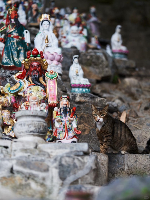 華富邨2026起清拆！揭平民豪宅3大駭人傳說：猛鬼亂葬崗/8000神像