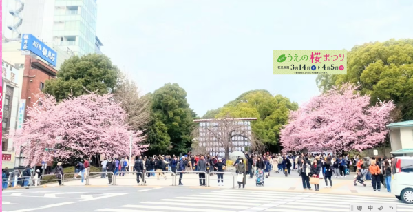 上野櫻花祭(圖片來源:ueno.or.jp) 東京櫻花祭2026|東京賞櫻勝地8大推介!日本橋櫻花限定甜點、小金井1400棵櫻花盛放