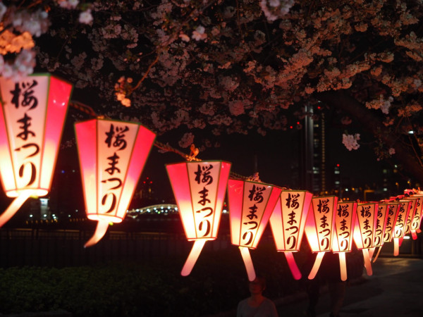 墨堤櫻花節(圖片來源:墨田区観光協会) 東京櫻花祭2026|東京賞櫻勝地8大推介!日本橋櫻花限定甜點、小金井1400棵櫻花盛放