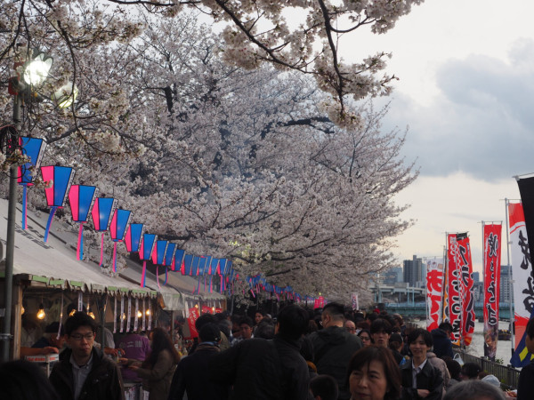 墨堤櫻花節(圖片來源:墨田区観光協会) 東京櫻花祭2026|東京賞櫻勝地8大推介!日本橋櫻花限定甜點、小金井1400棵櫻花盛放