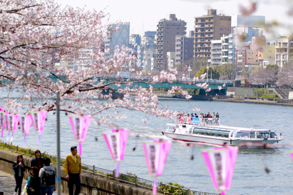 墨堤櫻花節(圖片來源:東京とりっぷ) 東京櫻花祭2026|東京賞櫻勝地8大推介!日本橋櫻花限定甜點、小金井1400棵櫻花盛放