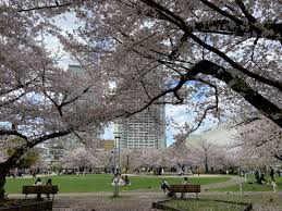 錦糸公園櫻花節(圖片來源:visit-sumida.jp) 東京櫻花祭2026|東京賞櫻勝地8大推介!日本橋櫻花限定甜點、小金井1400棵櫻花盛放