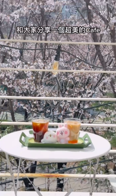 【韓國櫻花2026】首爾8大必去櫻花Cafe 春天必去!絕美櫻花陽台/櫻花窗景