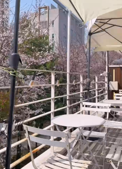 【韓國櫻花2026】首爾8大必去櫻花Cafe 春天必去!絕美櫻花陽台/櫻花窗景