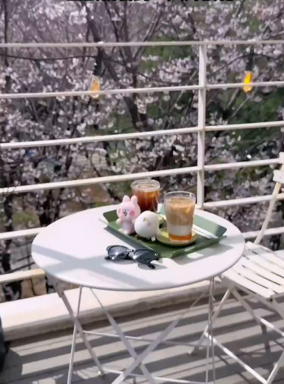 【韓國櫻花2026】首爾8大必去櫻花Cafe 春天必去!絕美櫻花陽台/櫻花窗景