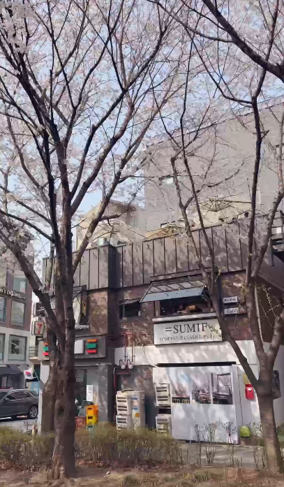 【韓國櫻花2026】首爾8大必去櫻花Cafe 春天必去!絕美櫻花陽台/櫻花窗景