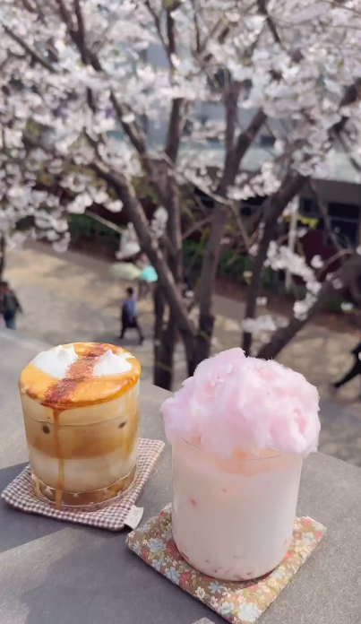 【韓國櫻花2026】首爾8大必去櫻花Cafe 春天必去!絕美櫻花陽台/櫻花窗景