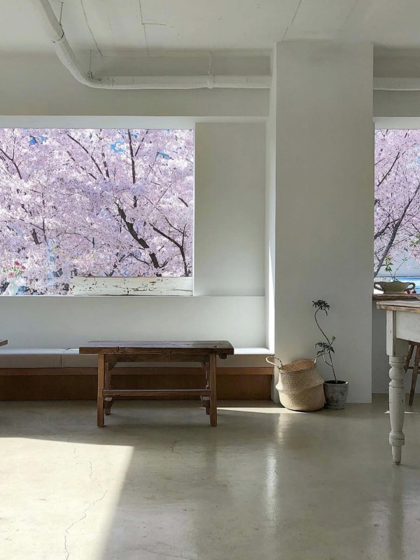 【韓國櫻花2026】首爾8大必去櫻花Cafe 春天必去!絕美櫻花陽台/櫻花窗景