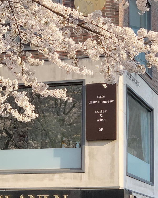 【韓國櫻花2026】首爾8大必去櫻花Cafe 春天必去!絕美櫻花陽台/櫻花窗景
