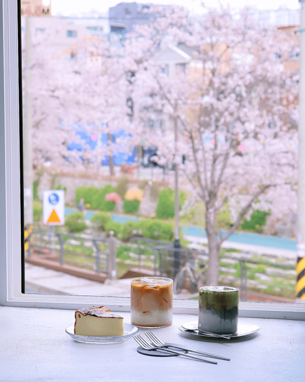 【韓國櫻花2026】首爾8大必去櫻花Cafe 春天必去!絕美櫻花陽台/櫻花窗景