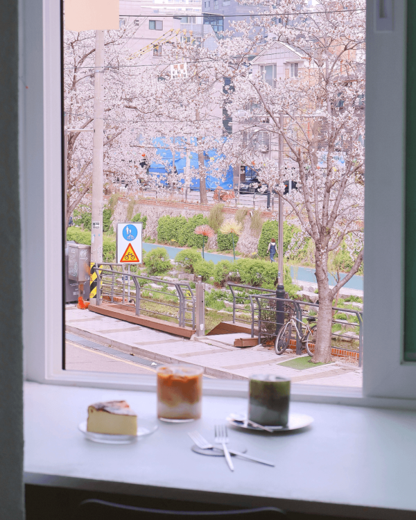 【韓國櫻花2026】首爾8大必去櫻花Cafe 春天必去!絕美櫻花陽台/櫻花窗景