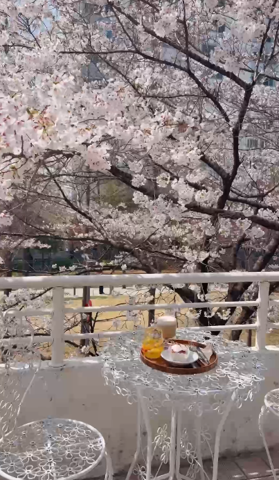 【韓國櫻花2026】首爾8大必去櫻花Cafe 春天必去!絕美櫻花陽台/櫻花窗景