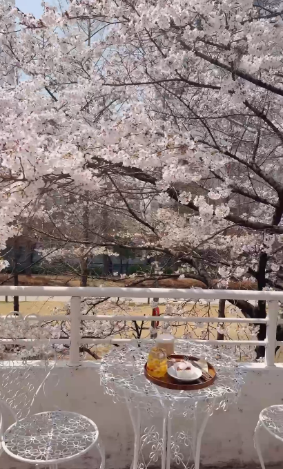 【韓國櫻花2026】首爾8大必去櫻花Cafe 春天必去!絕美櫻花陽台/櫻花窗景