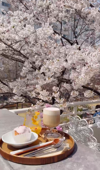 【韓國櫻花2026】首爾8大必去櫻花Cafe 春天必去!絕美櫻花陽台/櫻花窗景