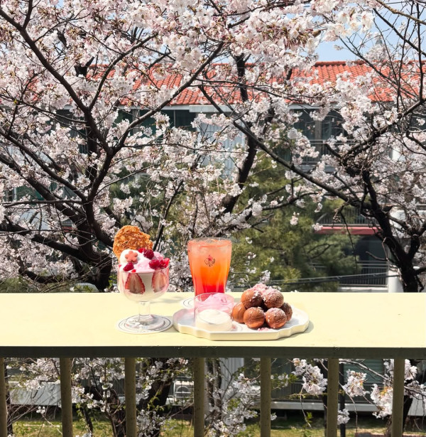 【韓國櫻花2026】首爾8大必去櫻花Cafe 春天必去!絕美櫻花陽台/櫻花窗景