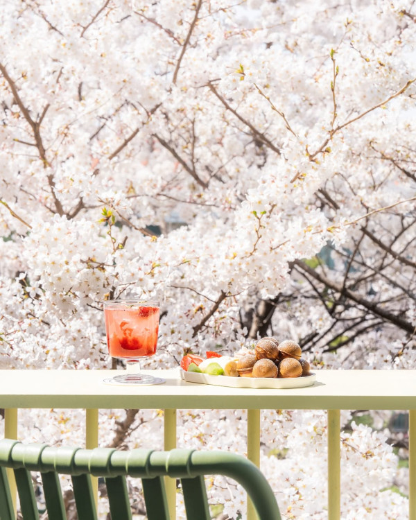 【韓國櫻花2026】首爾8大必去櫻花Cafe 春天必去!絕美櫻花陽台/櫻花窗景