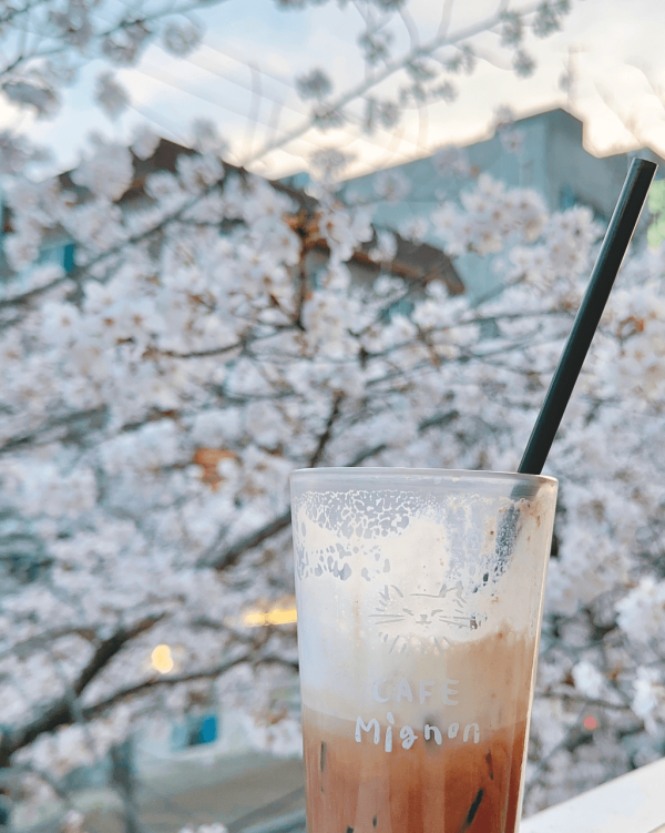 【韓國櫻花2026】首爾8大必去櫻花Cafe 春天必去!絕美櫻花陽台/櫻花窗景