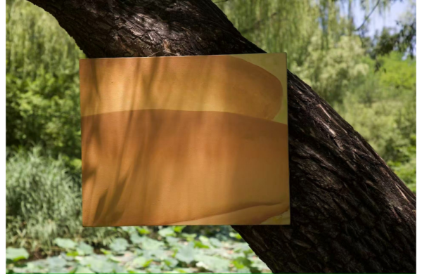 Art central新銳藝廊平台︰價值空間（圖片來源︰Art central）