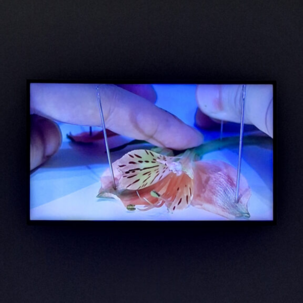 Art central 展覽（圖片來源︰Art central）