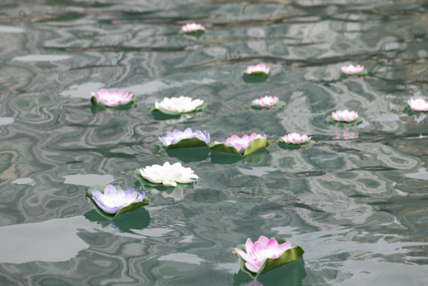 周末好去處|鴨脷洲洪聖傳統文化節 免費醒獅體驗班+試穿戲服/頭飾/道具 必參加水燈晚會!預先登記送祈福水燈