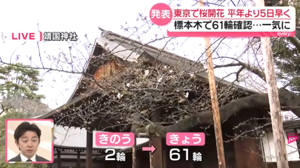 圖片來源:Youtube @日テレNEWS 圖片來源:Youtube @日テレNEWS