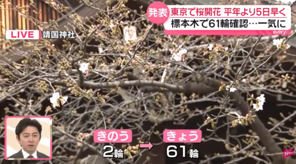 圖片來源:Youtube @日テレNEWS 圖片來源:Youtube @日テレNEWS