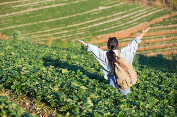 圖片來源：freepik