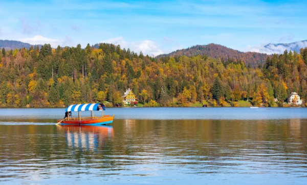 圖片來源：freepik