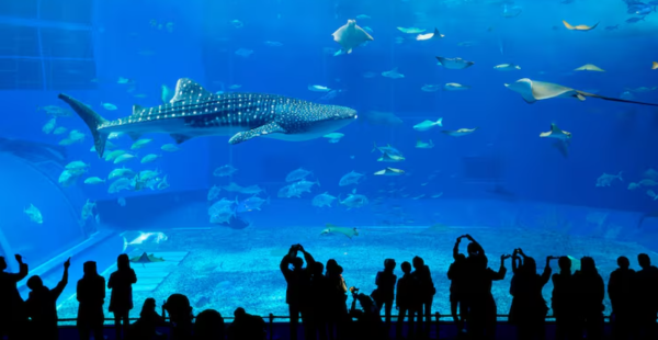 圖片來源：freepik