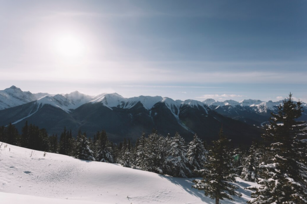 圖片來源：freepik