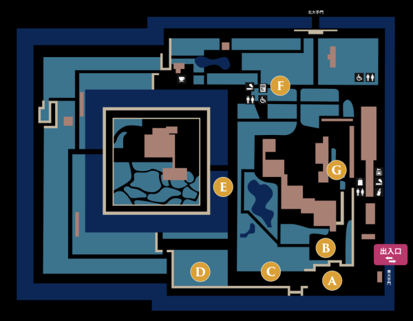 二條城櫻花祭(圖片來源:symunity.co.jp) 關西櫻花祭2026|大阪京都8大必去賞櫻景點推薦!附活動日期+交通地址